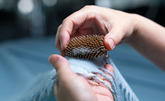 Heritage in stitch