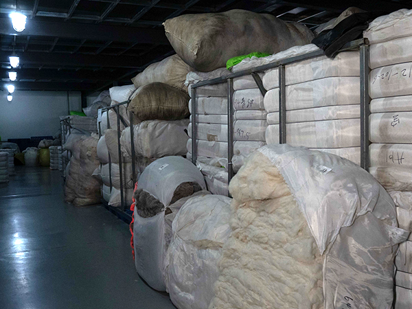 Responsible cashmere sourcing